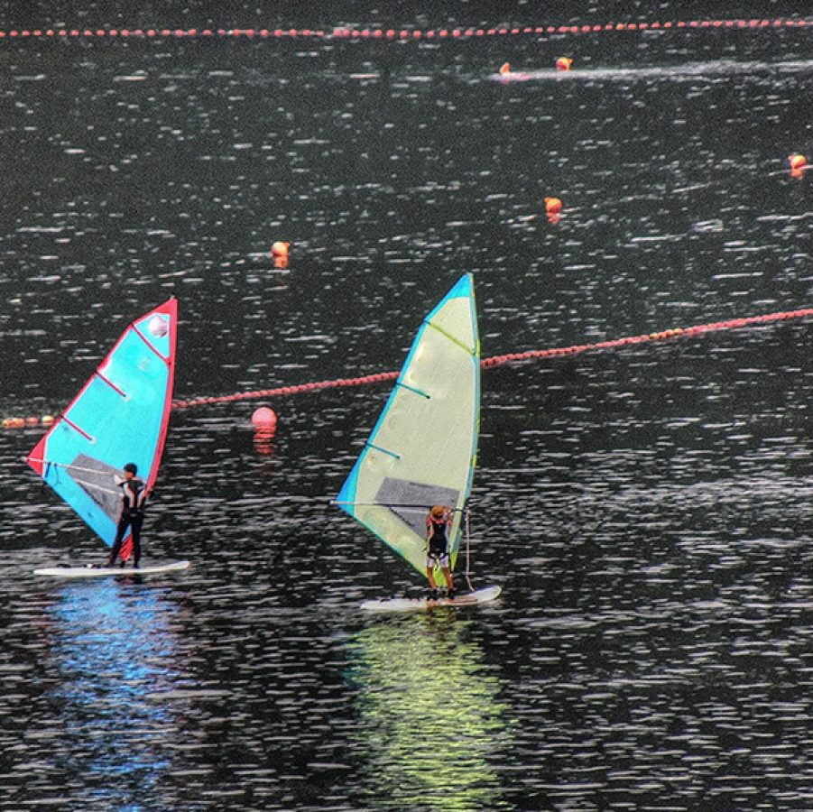People are windsurfing