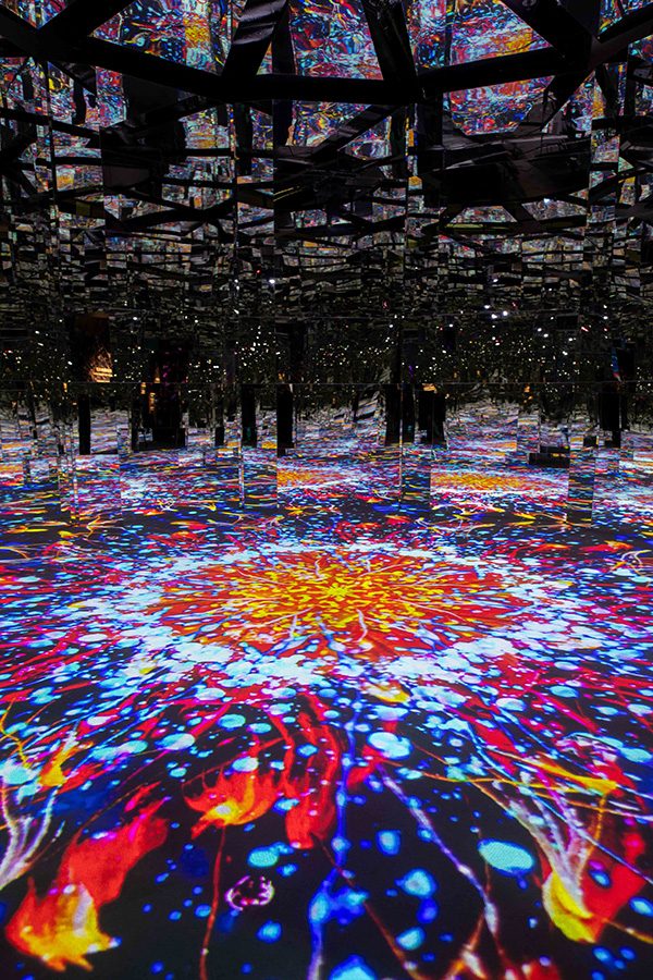 MICROSCOPY OF FLOWERS at NAKED FLOWERS Exhibition