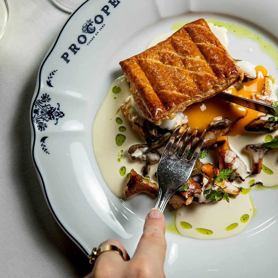 A dish in Procope 
