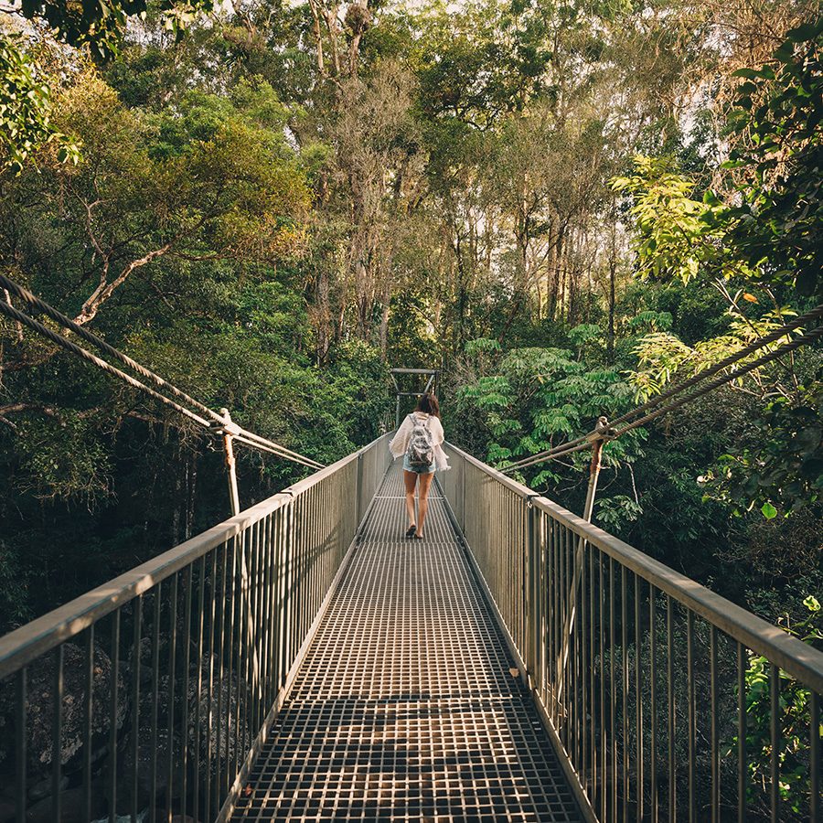 Mossman gorge