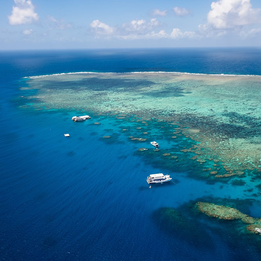 Overlooking view of the Norman reef