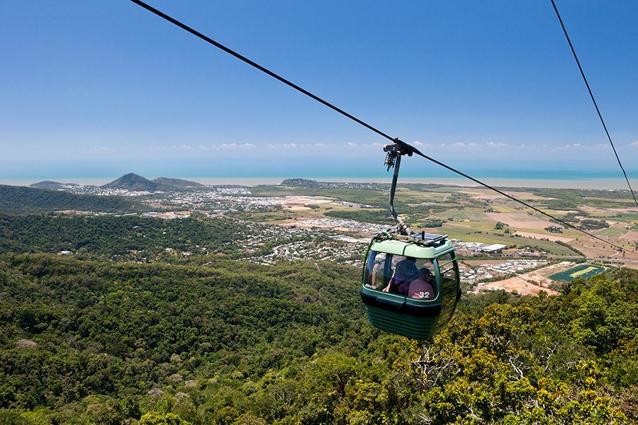 Rainforest cableway