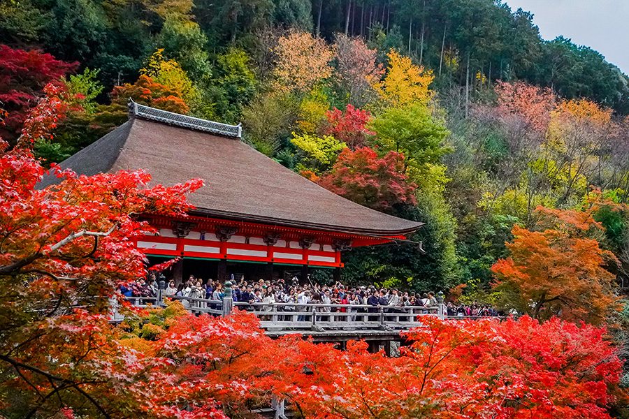 A crowds  of people seen taking photos in Kyoto