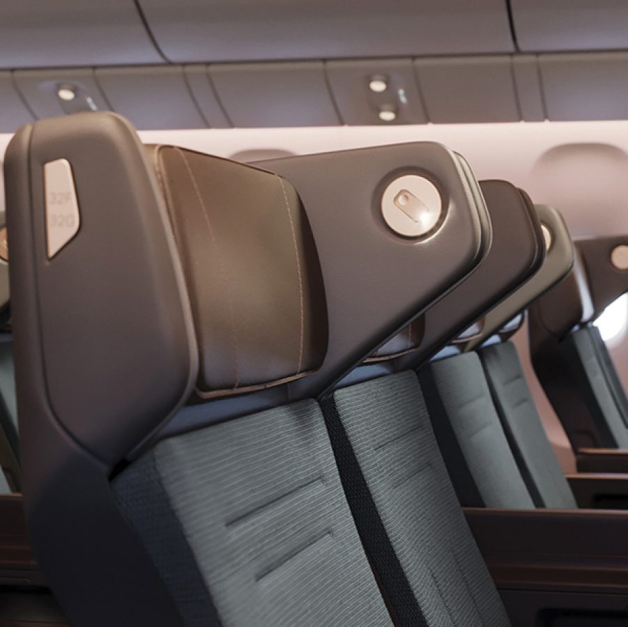 Headrest separators on a Premium Economy seat