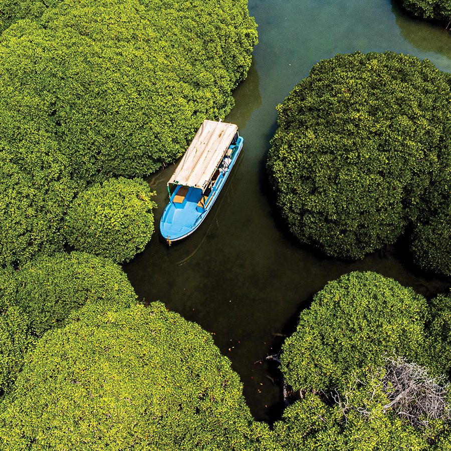 A boat in a river surrounded by trees