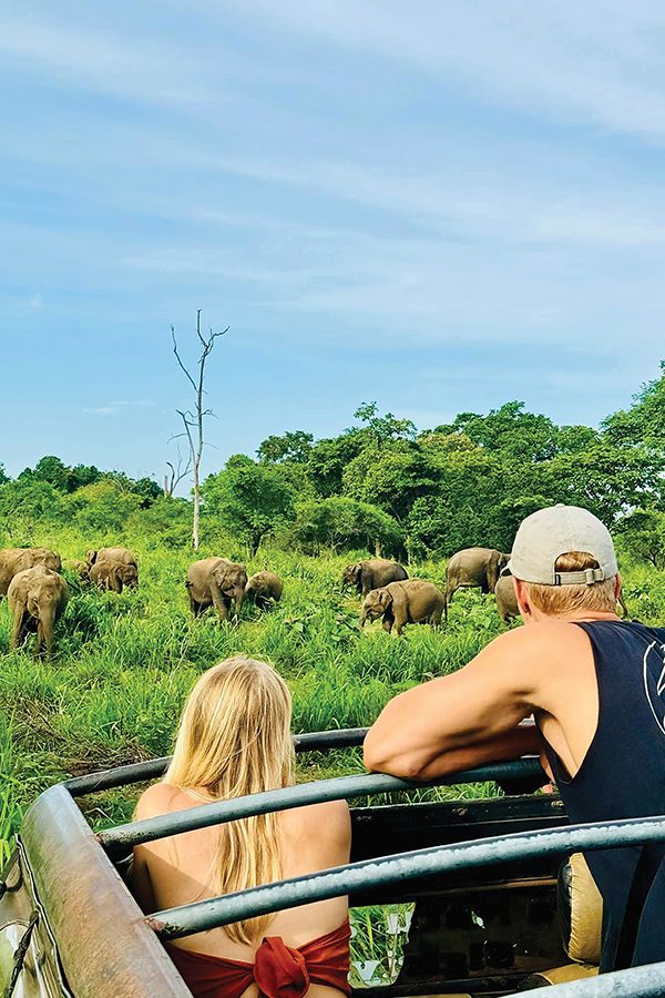 People observe a herd of elephants in the forests of Sri Lanka 