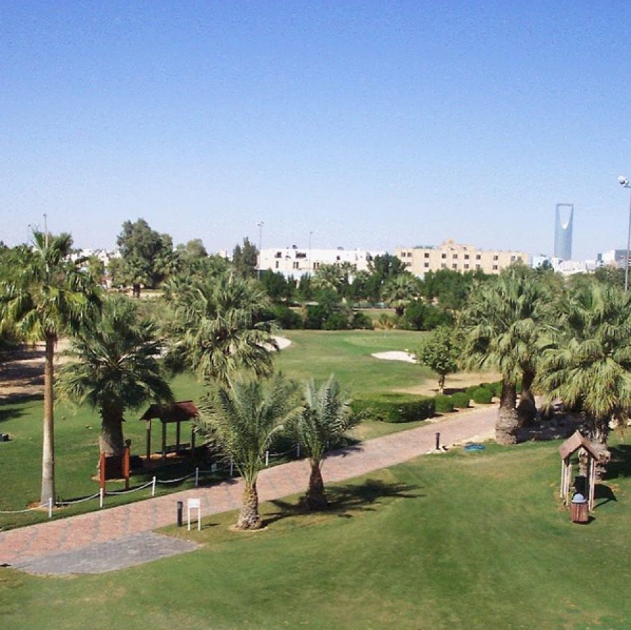 A long path lined with palm trees and buildings in the distance at InterContinental Palms Golf Club