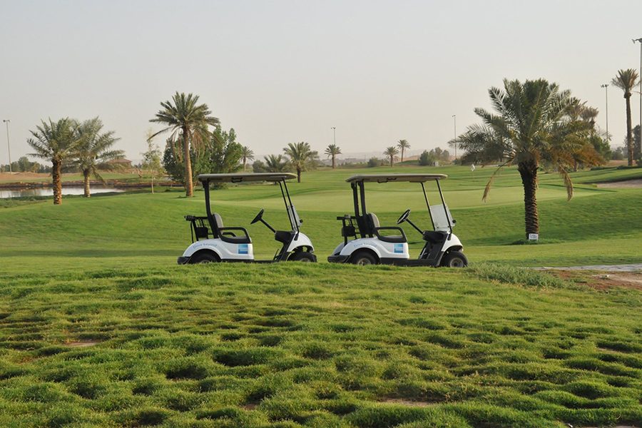 Two golf carts and palm trees at Riyadh Golf Club