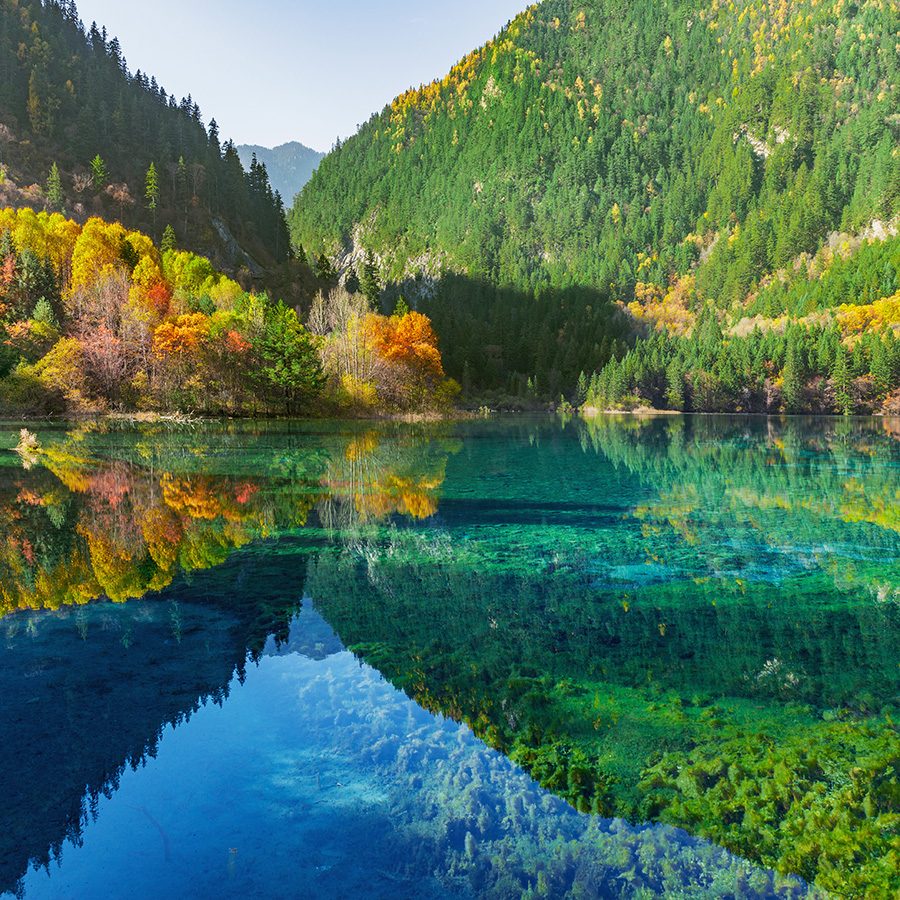 Teal lake with trees and mountains in the background at Jiuzhaigou National Park  