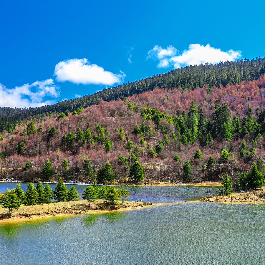 A lake surrounded by trees and pink flowers in Pudacuo National Park 