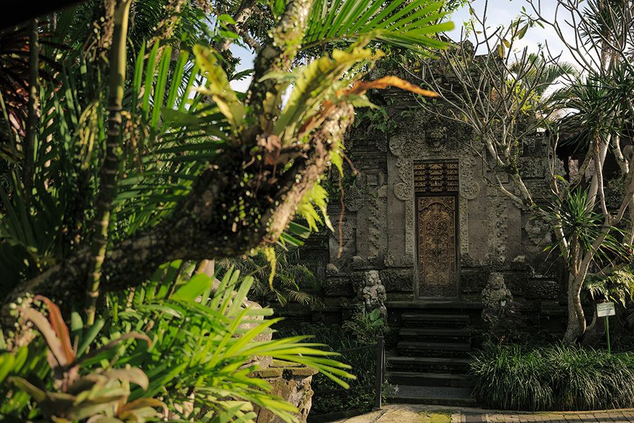 Trees in front of a Balinese stone gate. 
