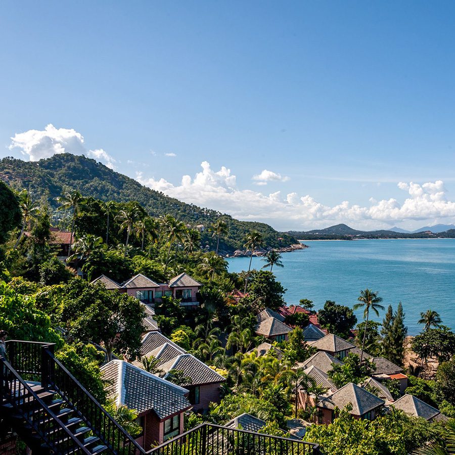 Houses on a forested hill next to a body of water.