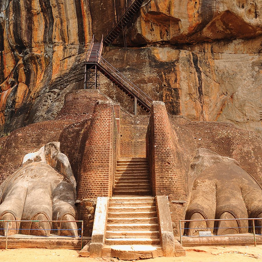 A staircase guarded by two lion paws.