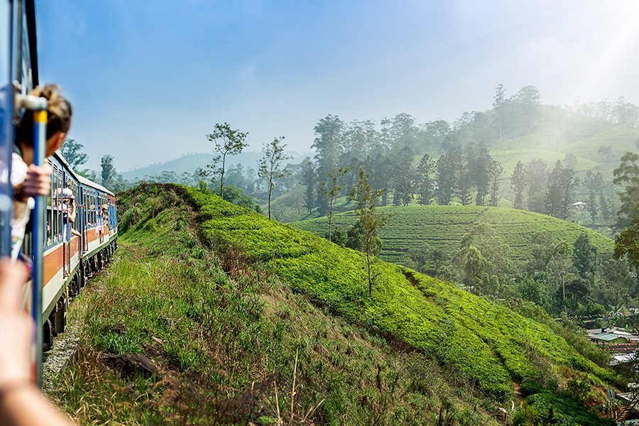 Heads sticking out of a train on a hill, with trees in the distance. 