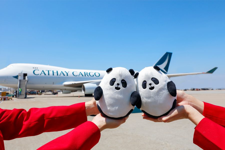 Two panda toys held up in front of a Cathay Cargo plane