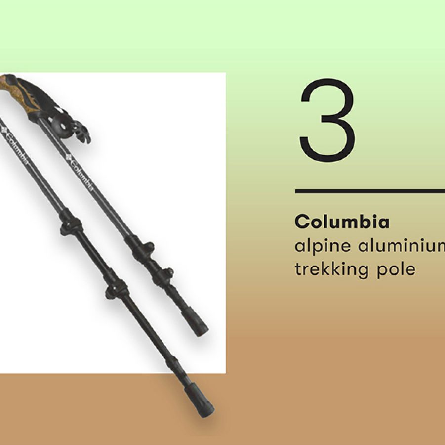 A pair of black hiking poles with cork grips.