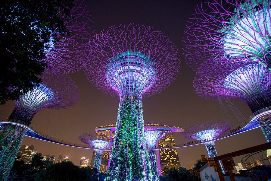 View of the Singaporean Supertree Grove