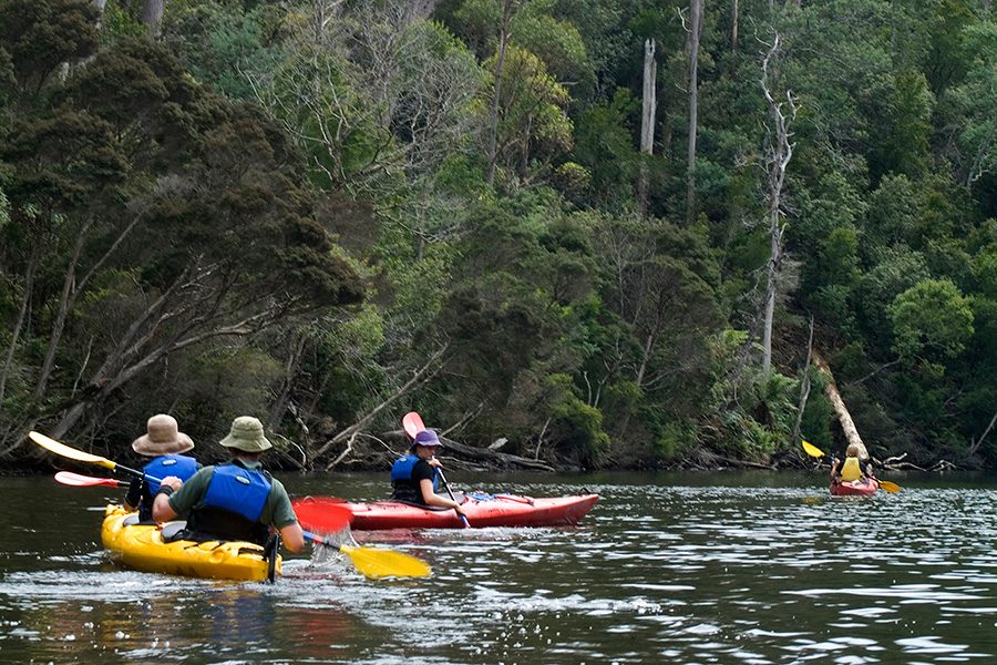 Guests of Cradle Mountain Huts kayaking in Tasmania