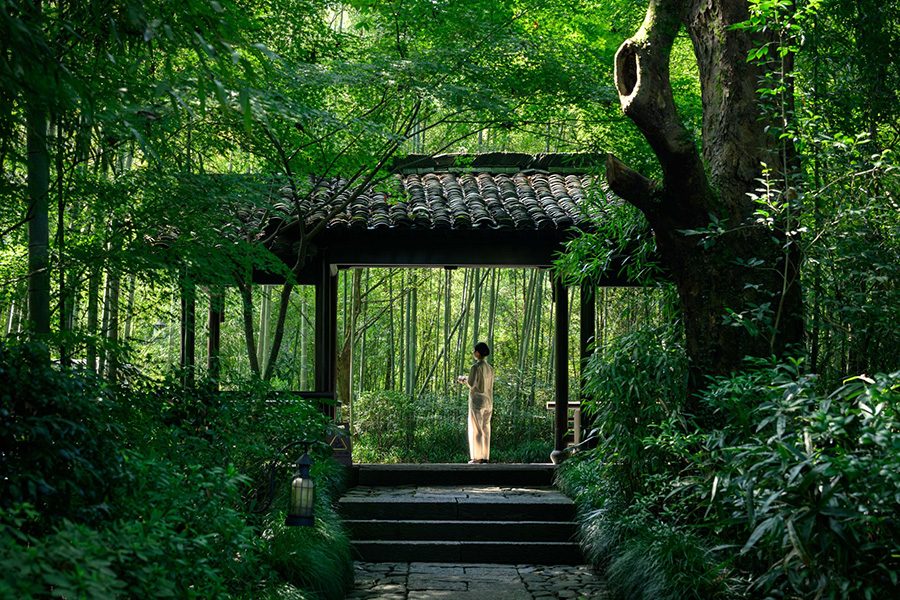 A woman in white dress stands in a garden pavilion surrounded by tall trees, admiring the natural landscape 