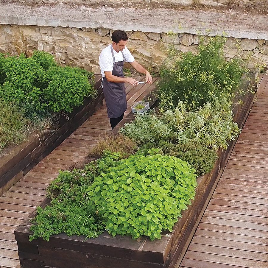 A man in a white t-shirt and grey apron tends to the plants in the garden of SHA Wellness.