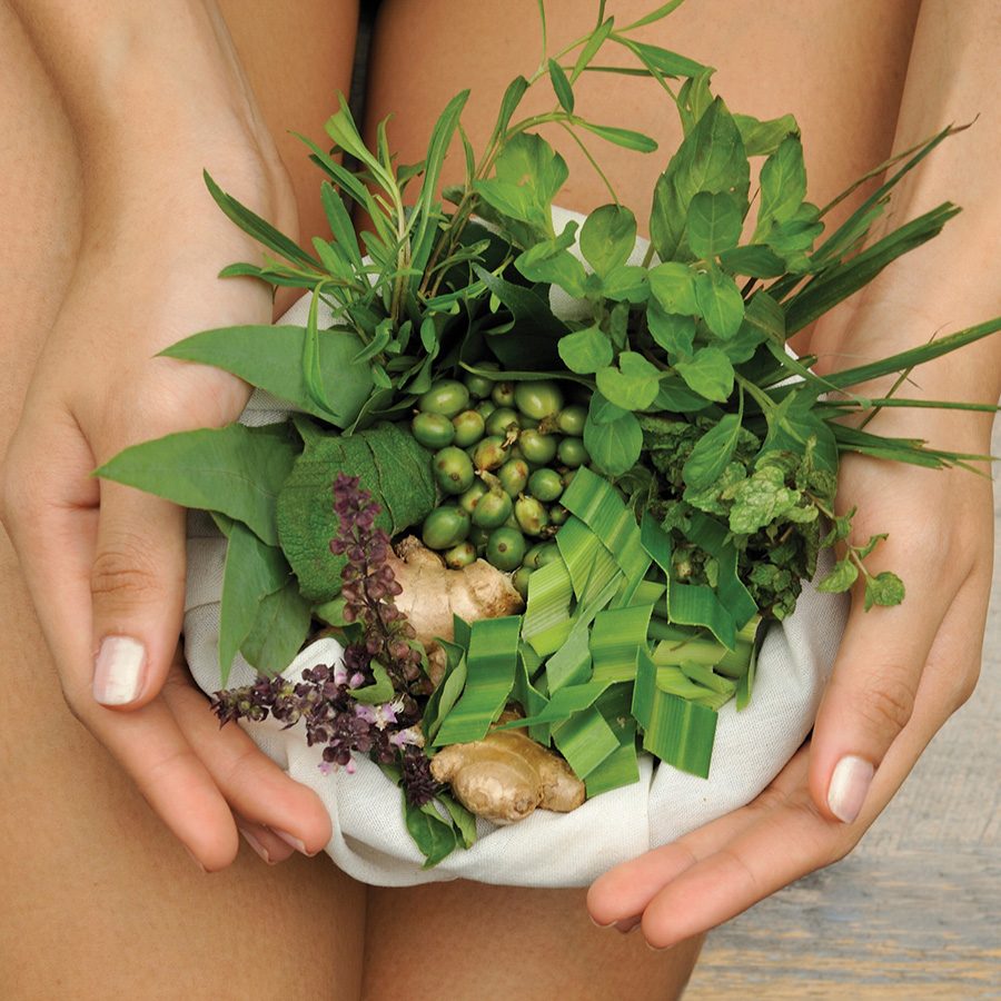 A woman’s hands encircle a bundle of herbs.