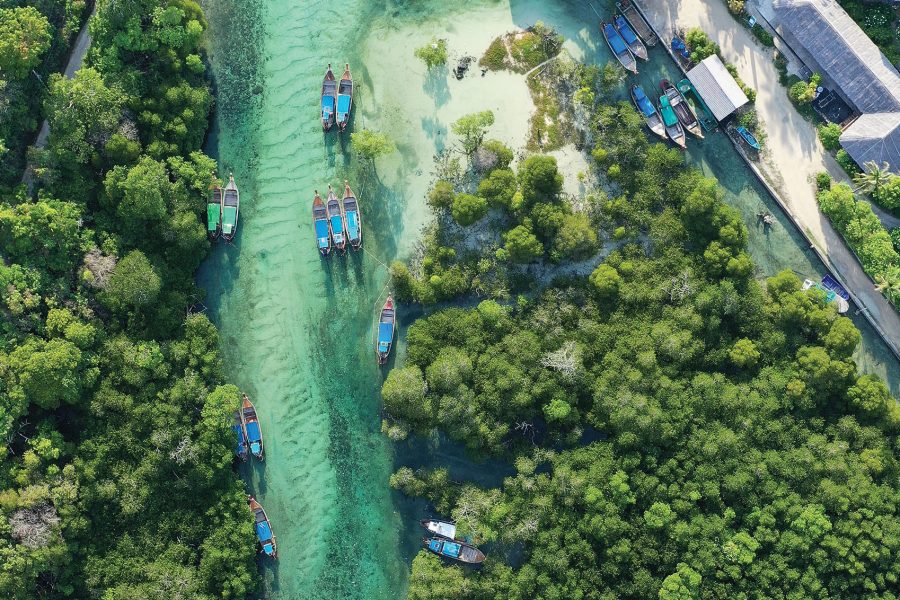 Mangroves beside and boats atop a channel of clear water at Saii Phi Phi Island Village, Thailand.