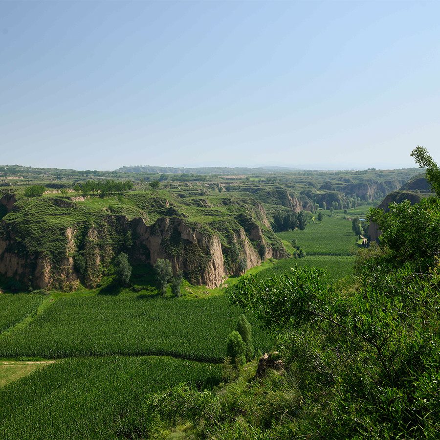 The verdant valley in China’s Shanxi province where Grace Vineyard is located. 