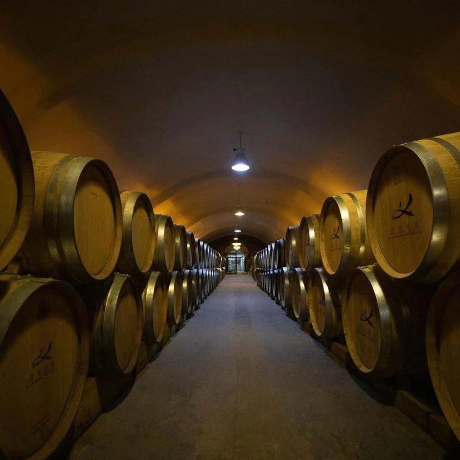 A cellar filled with wine barrels at Kanaan Winery in Ningxia, China. 