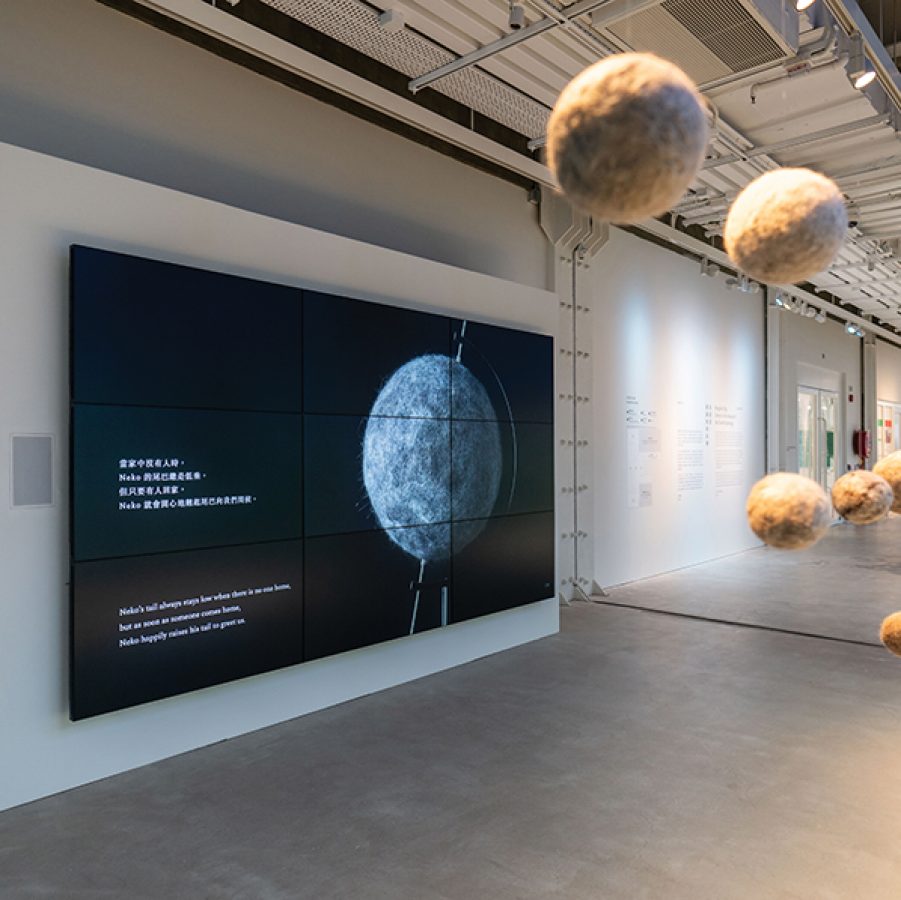 Fur balls hanging from the ceiling in an exhibition by Kingsley Ng.