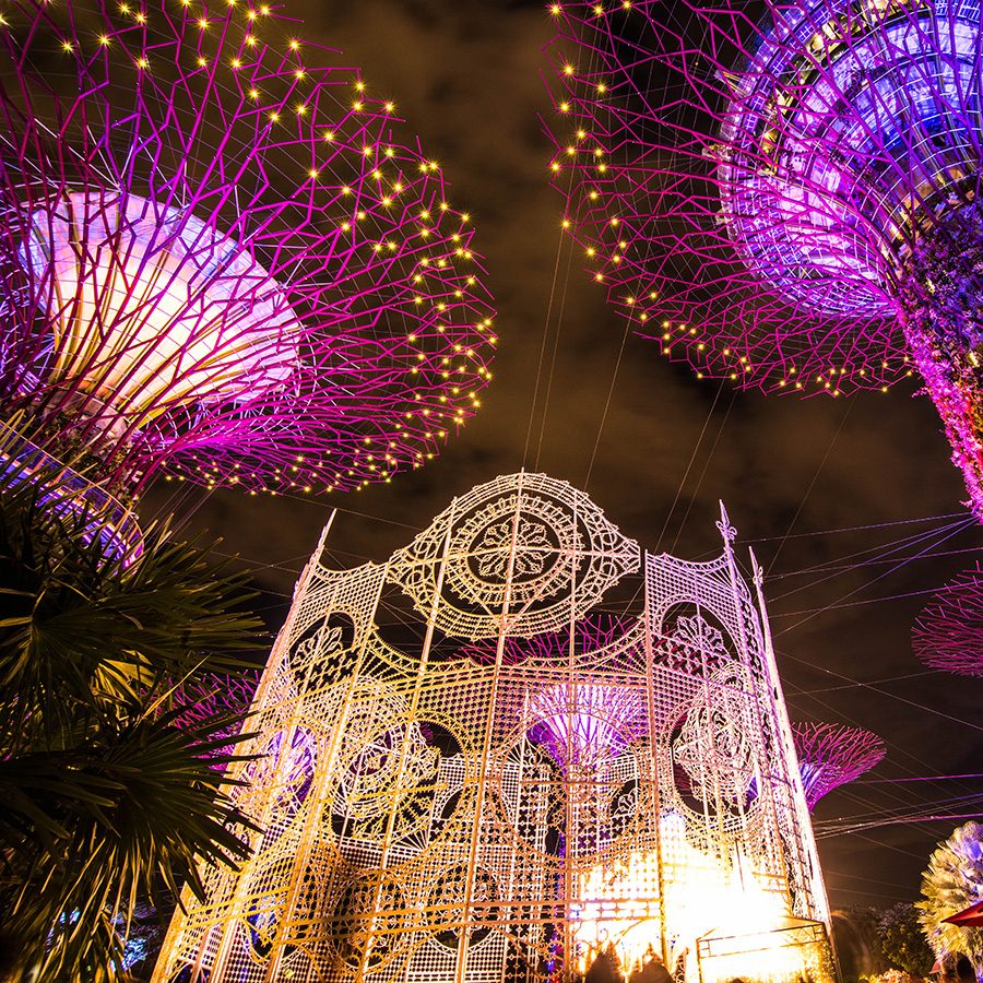 The illuminated SuperTree Grove at Gardens by the Bay in Singapore. 