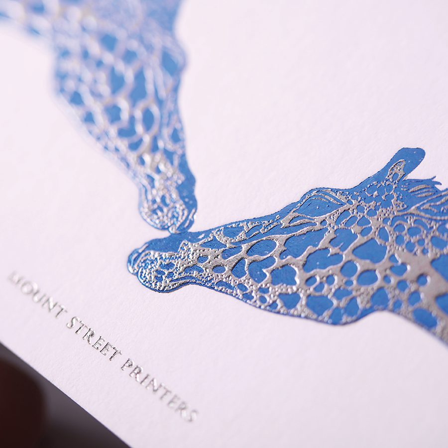 Close up of giraffe illustrations at Mount Street Printers