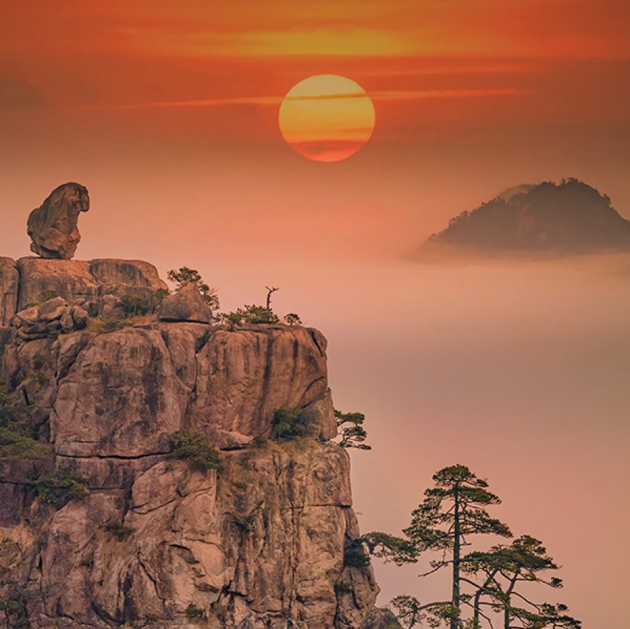 Huangshan above the clouds at sunset.