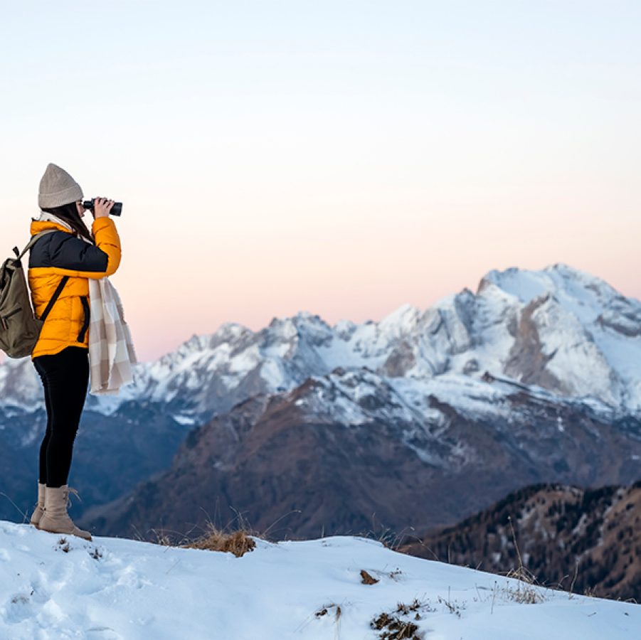 Person using binoculars to view snowy mountains