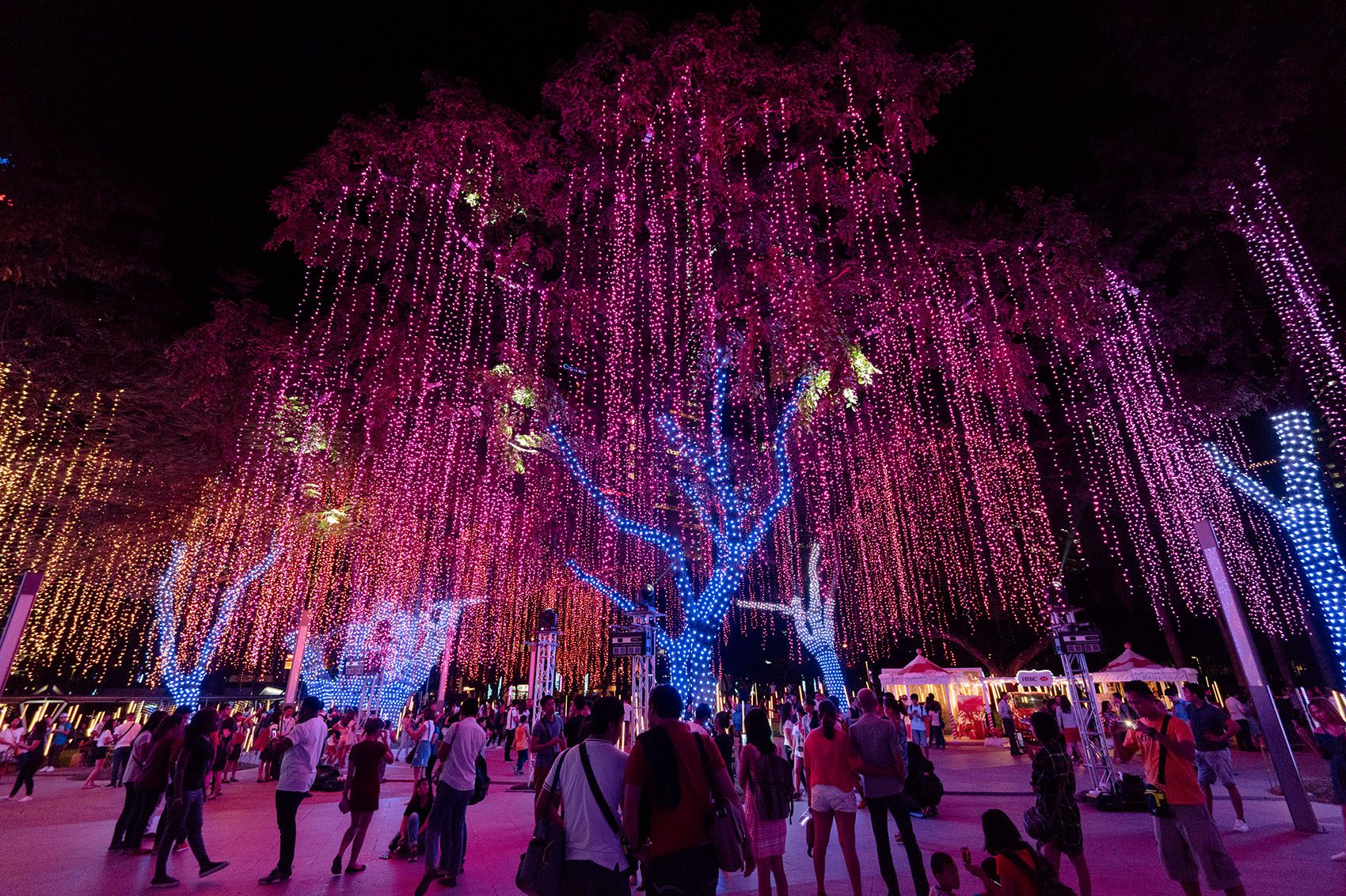 People walking around and taking pictures of Christmas light decorations hanging from trees during the holidays in the Philippines. 