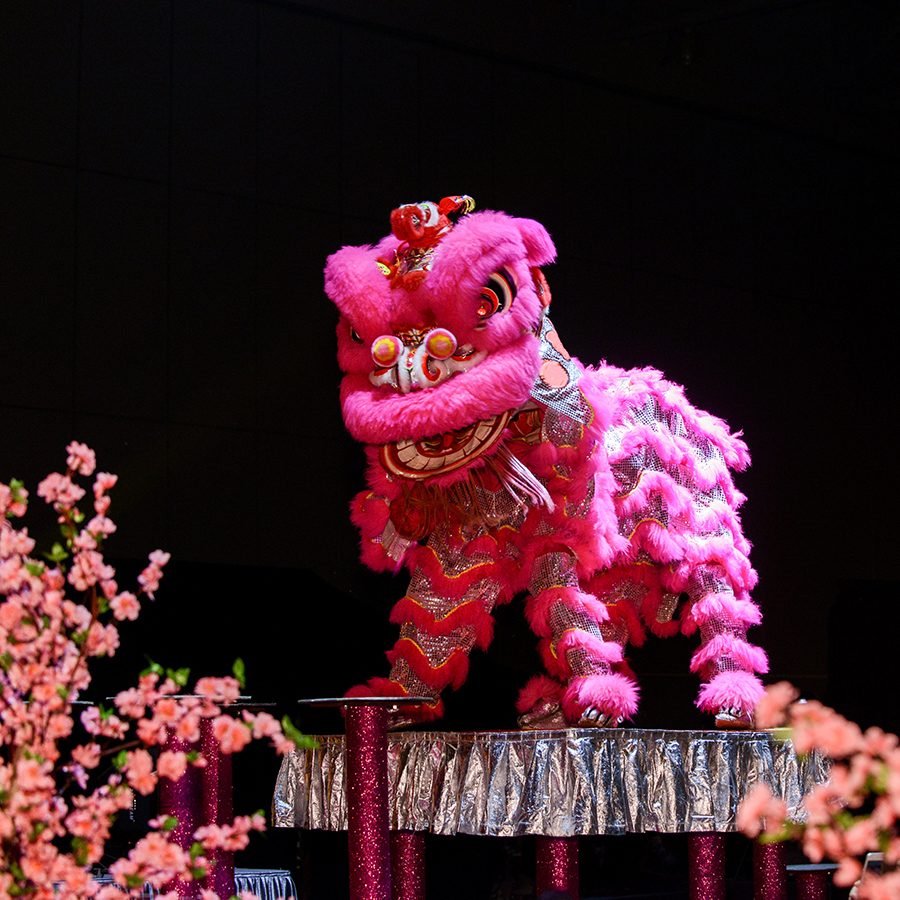 A pink lion dance mascot on stage, surrounded by pink flowers. 