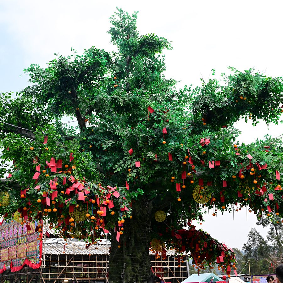 The Lam Tsuen Wishing Tree adorned with red joss paper.