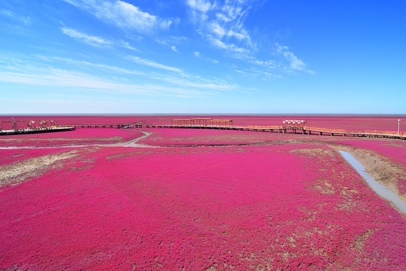 Wide shot of the Panjin Honghaitan Scenic Area.
