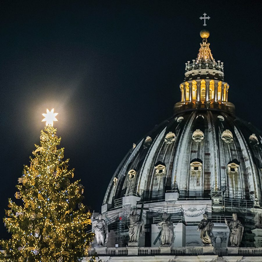A view of a Christmas tree and a glowing star tree topper at night, with the dome of the Vatican church in the background.