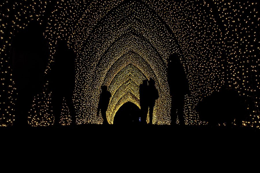 Silhouettes of people admiring the golden Illuminated Installations Of Christmas at Kew.