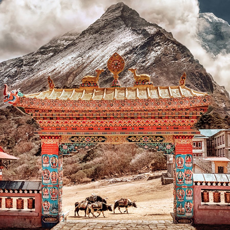 Animals passing under a large Nepalese archway with a view of the mountains behind.