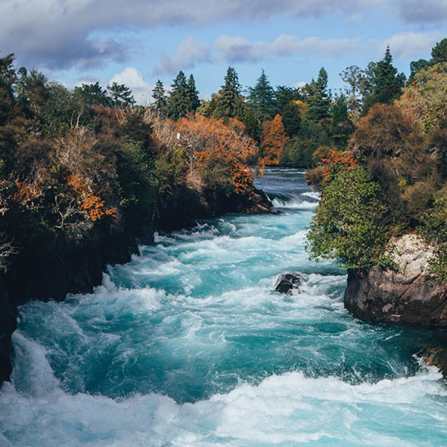 Autumn foliage bordering the Huka Falls.