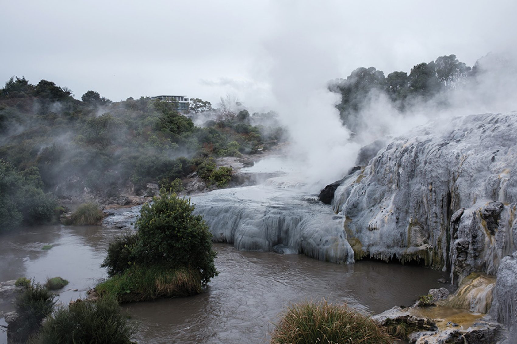 A geyser at Te Puia geothermal park. 