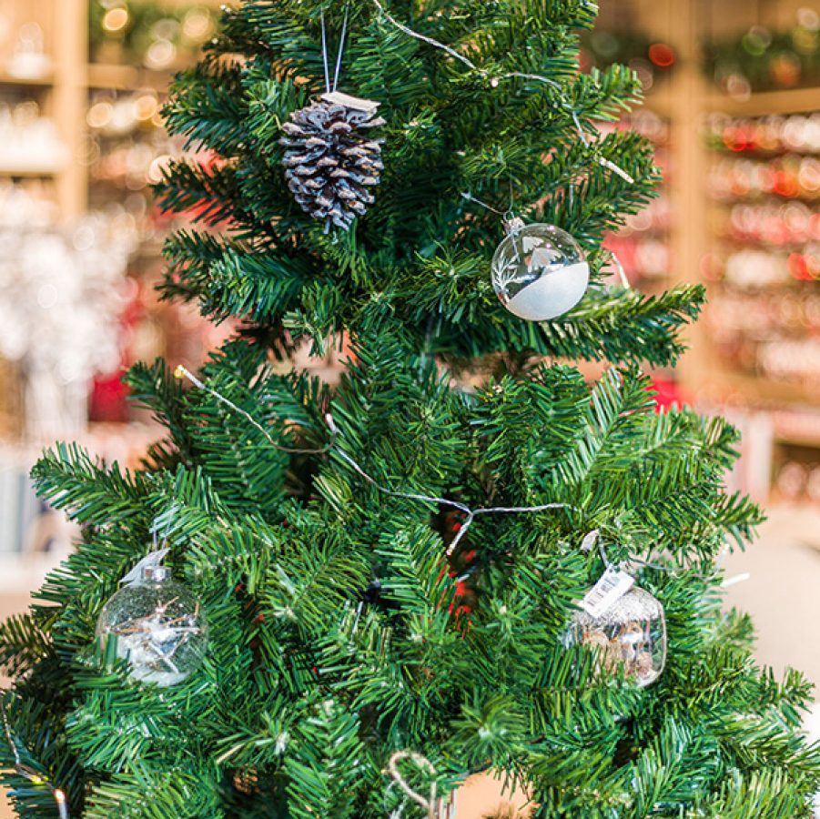 Close up shot of a Christmas tree. 