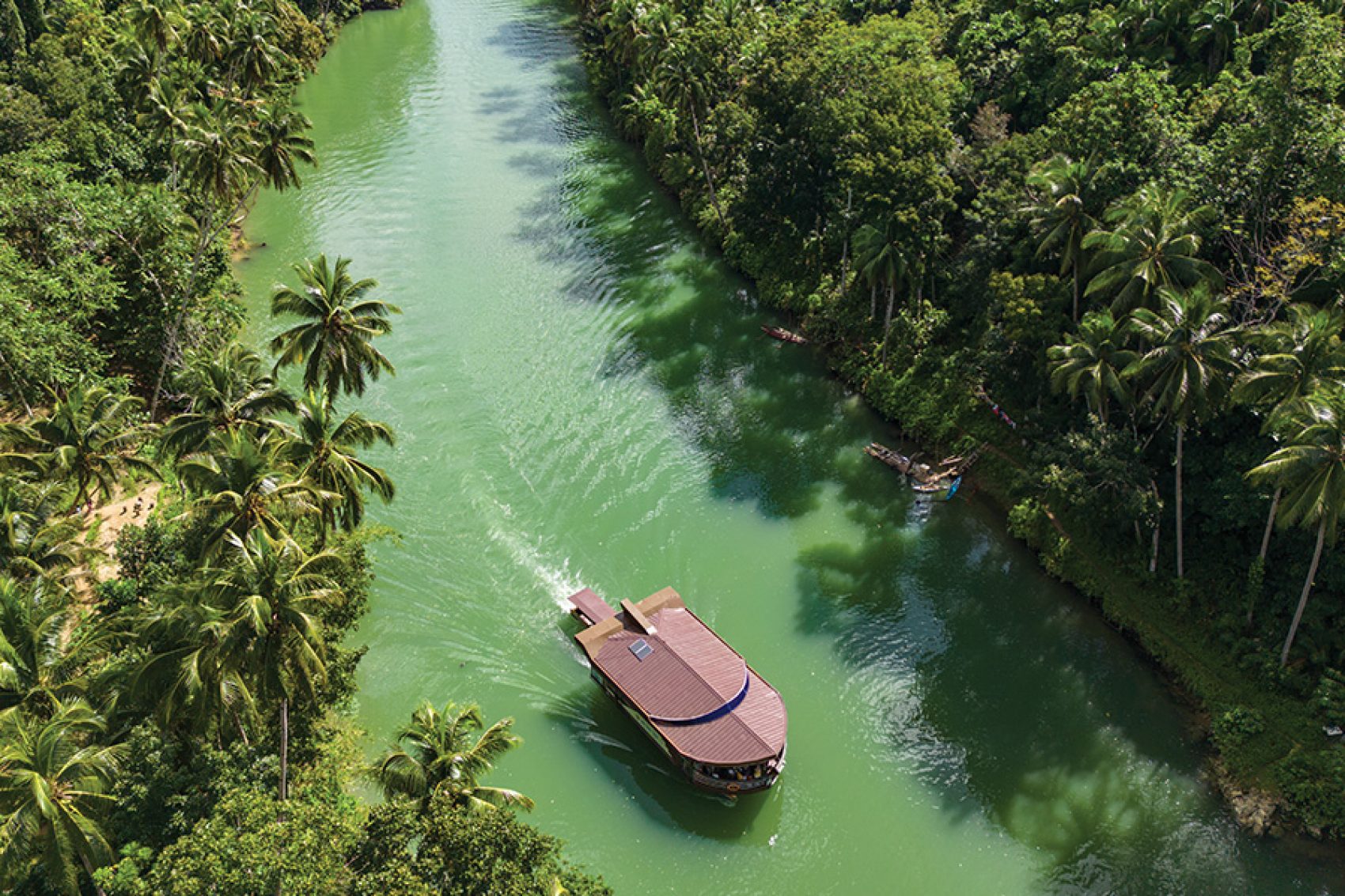 Aerial view of a boat on the Loboc River in the daytime.