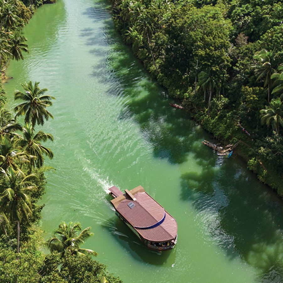 Aerial view of a boat on the Loboc River in the daytime.