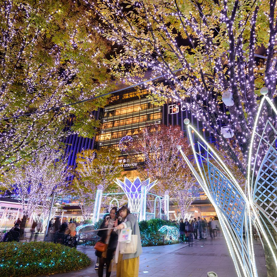 Two women standing underneath trees decorated with Christmas lights in the evening in Fukuoka. 