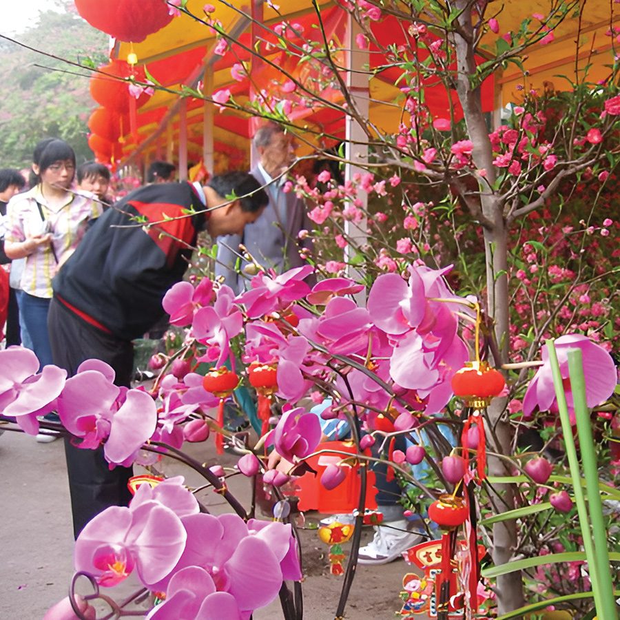 Guangzhou: Haizhu Flower Market. Courtesyimages