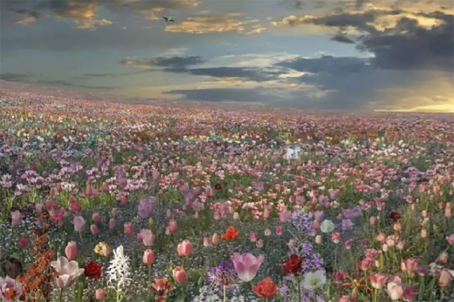 A work of art by Jean-François Rauzier. The piece shows a sunrise over a field of flowers, created using images pieced together. 
