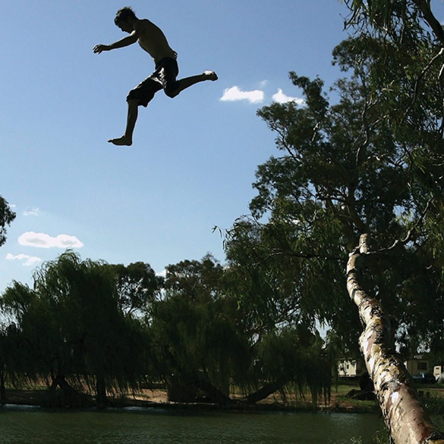 A man jumping from a tree into Murray River during daytime in Melbourne.