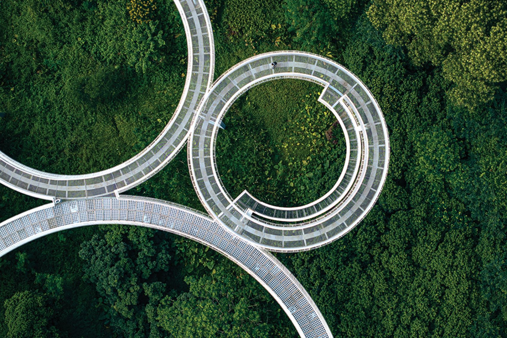 Aerial view of the three large rings of Dadingling Greenway’s Floating Bridge over a forest.